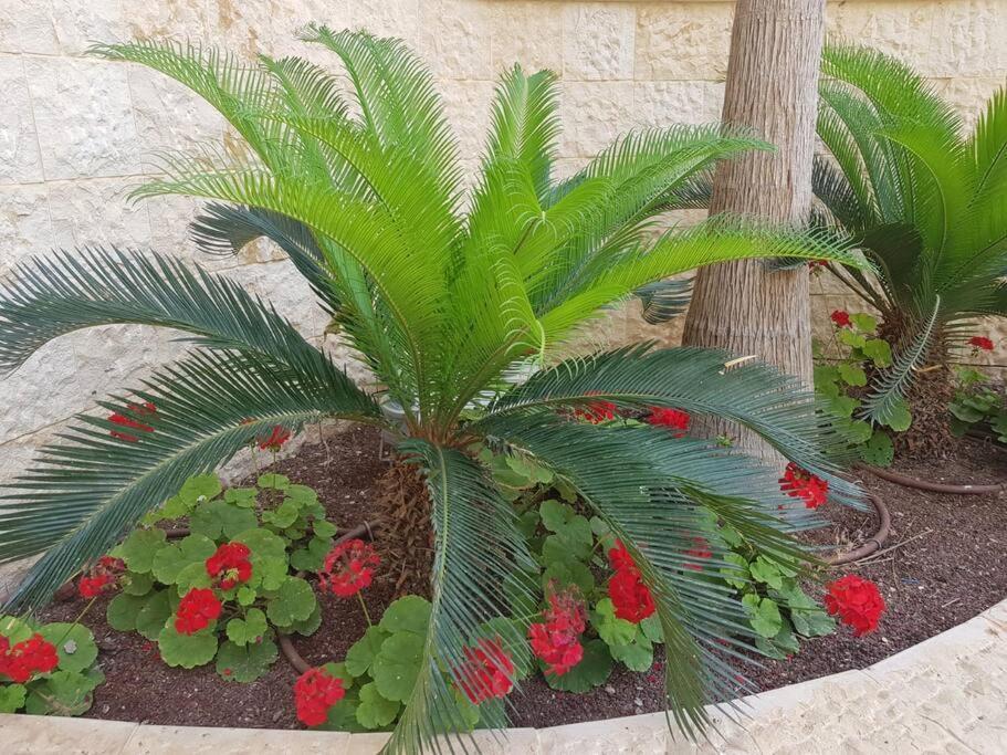 דירה Exclusive Luxury Golf With Pool Sauna Jim *